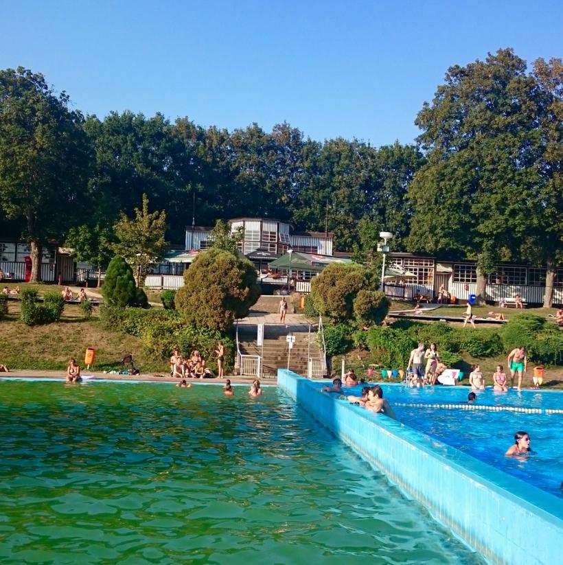koupaliště 31 srpen 2015 _1277