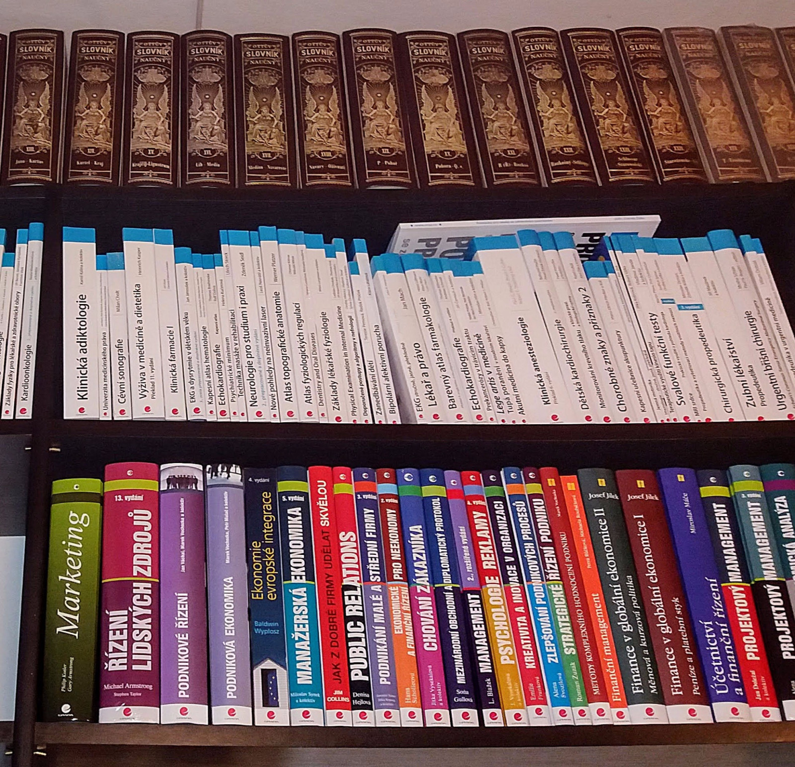 kompletn Ottv slovnk naun a pod nm lkask literatura